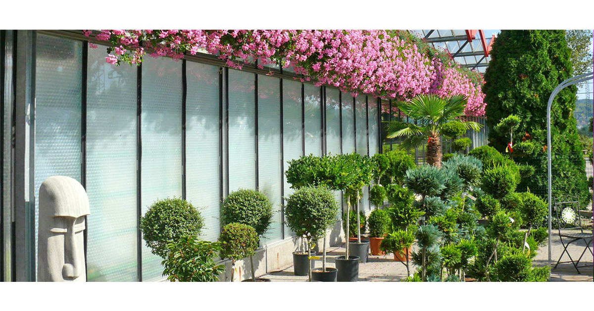 Gärtner aus Leidenschaft DBIA Blumenland Herdt