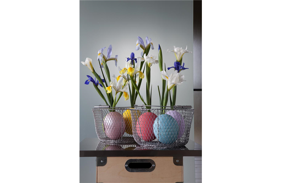Ostern blüht uns was