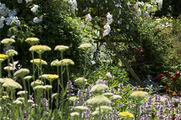 Lauschige Ecken im Garten
