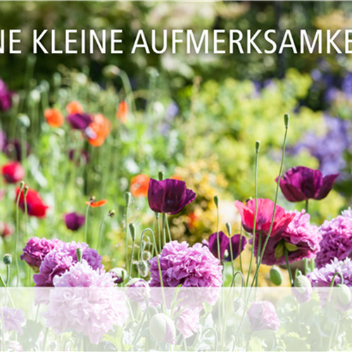 Geschenkgutschein
