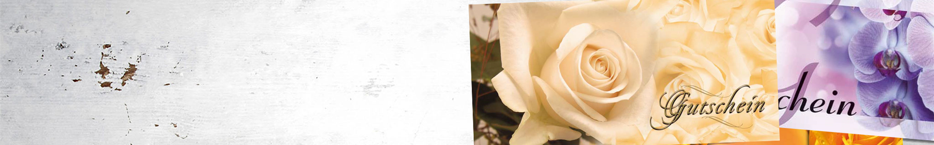 Gartenfreude zu verschenken!